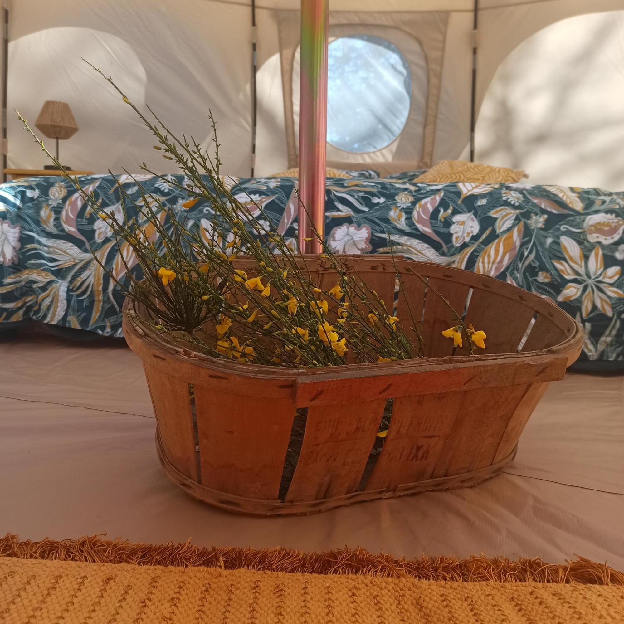 Eco Ceiba Hotel Busque Bagian luar foto